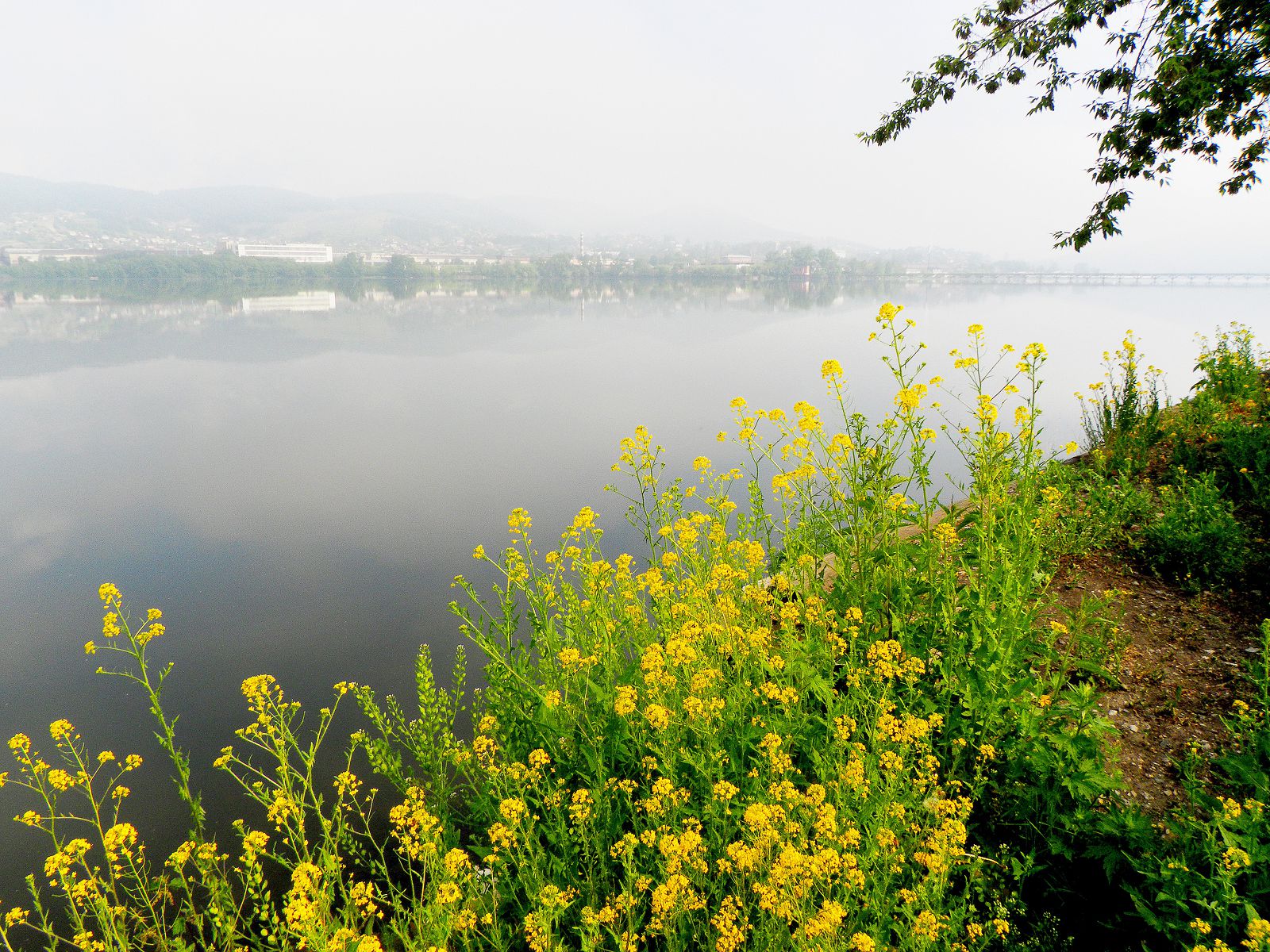 Желтое озеро Башкирия