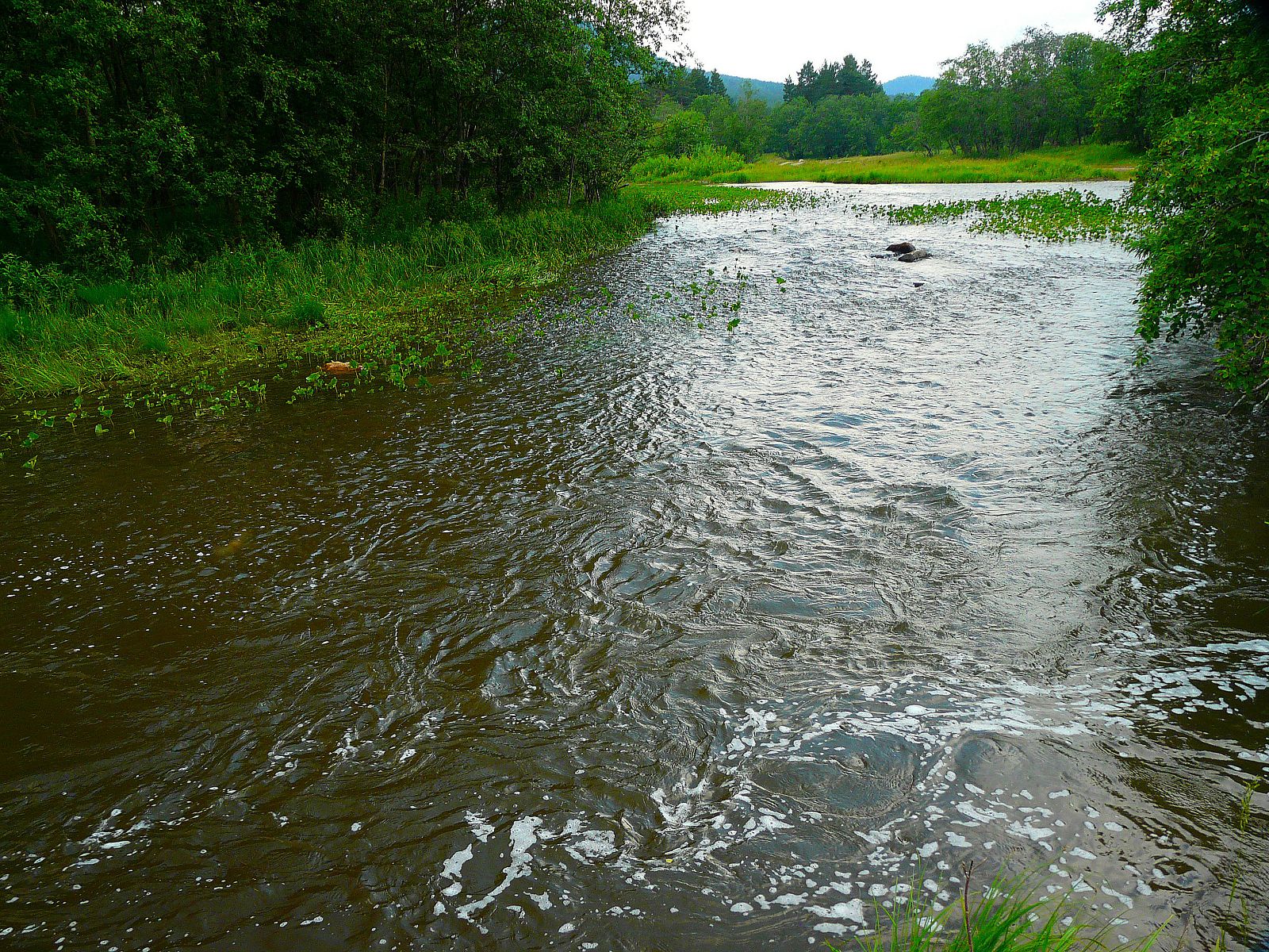 Река бежит весело. Бежит река. В реке бежит Гремучий вал. Бег у реки.