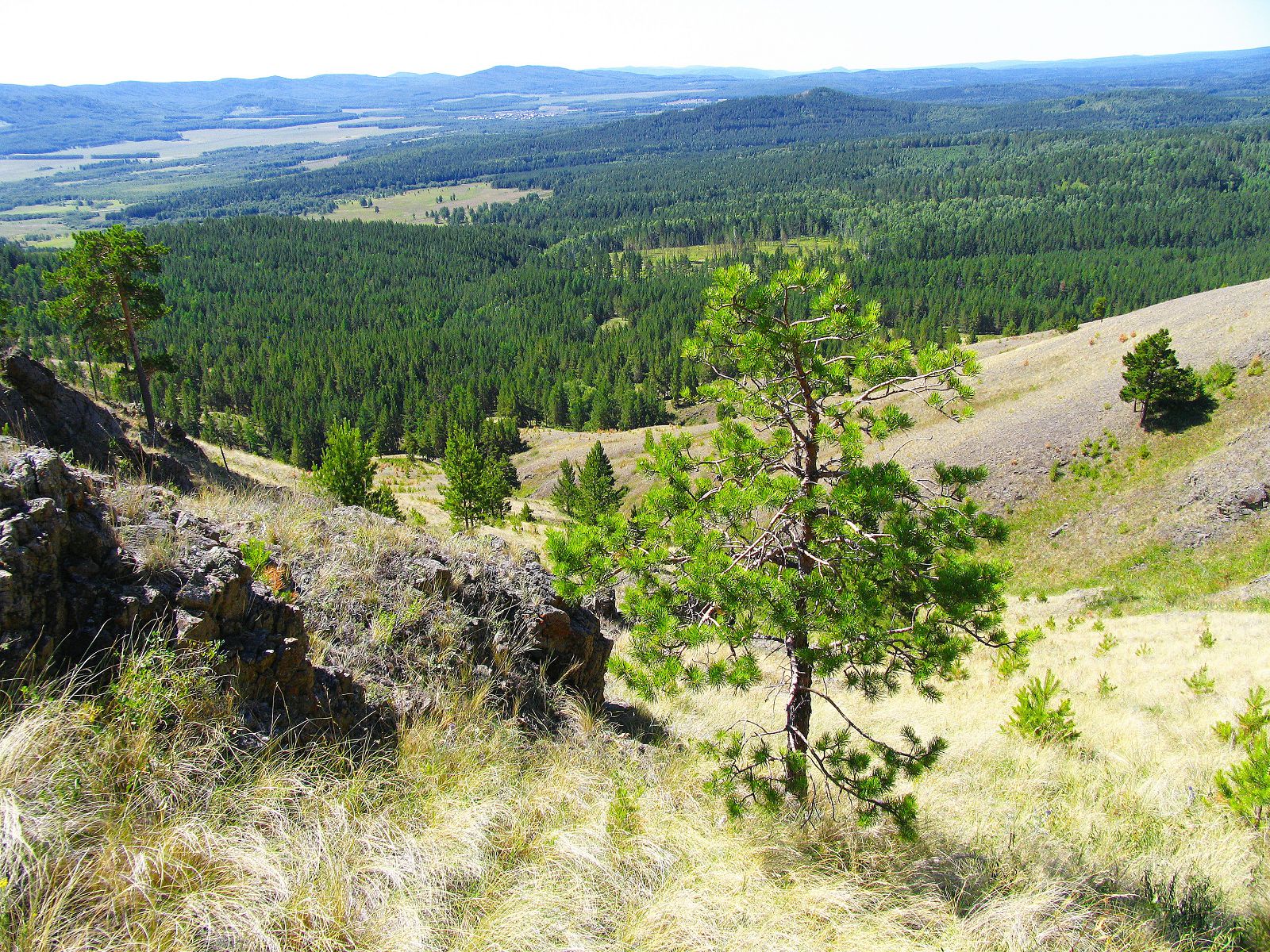 Планета белорецк