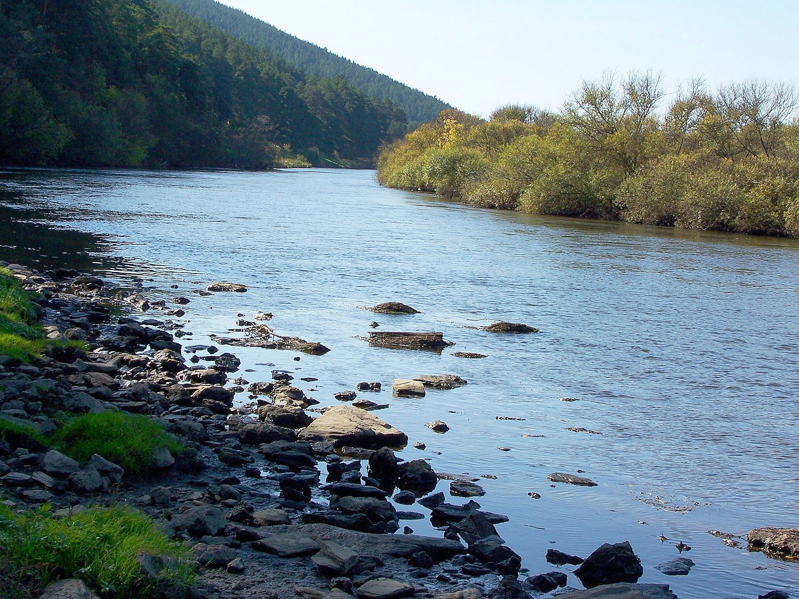 Вода в реке белой на сегодня