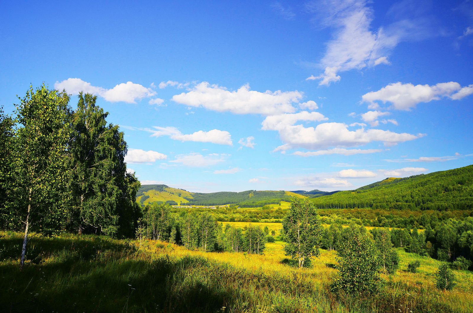 Пейзаж природа Башкирии июль