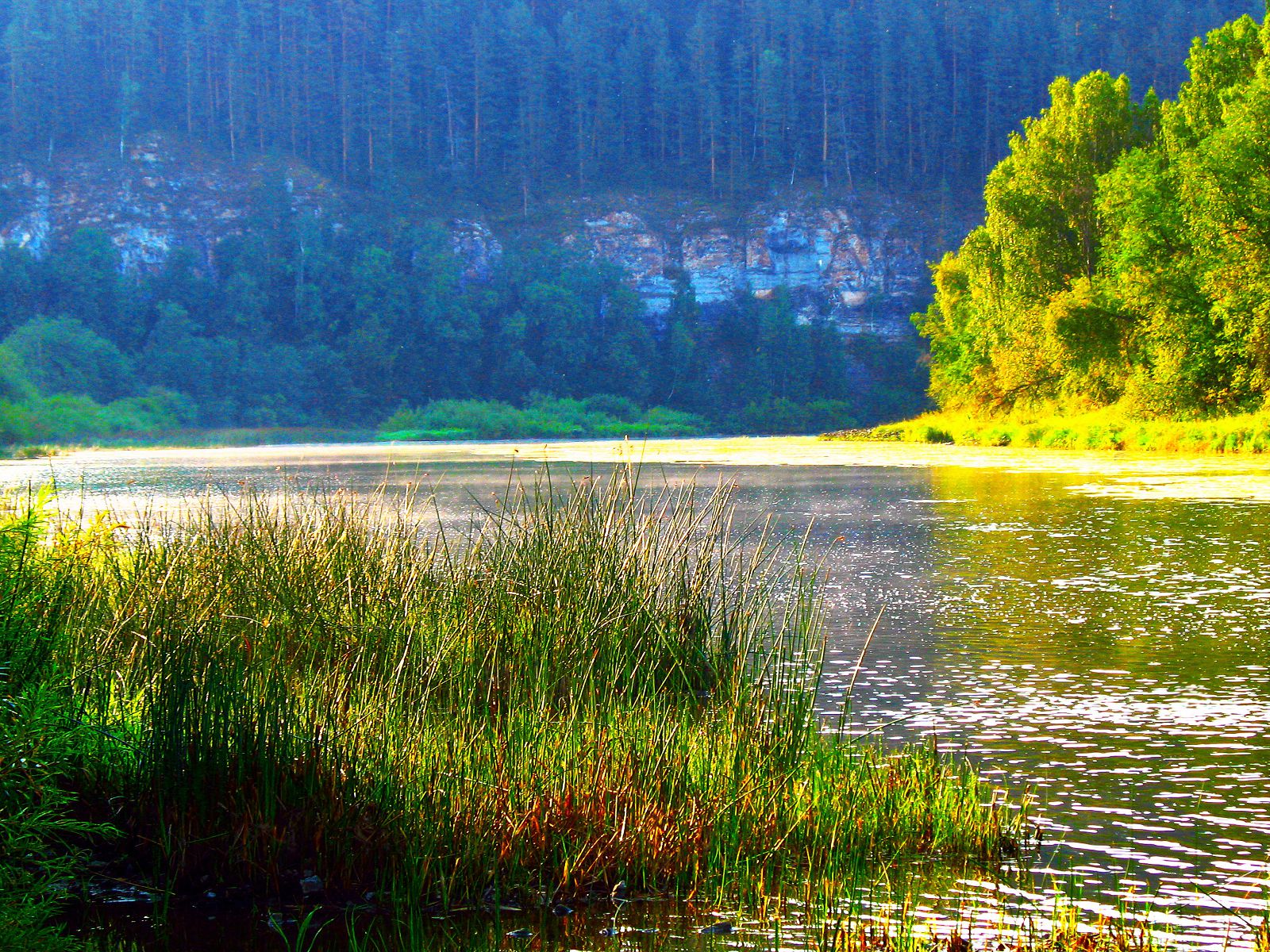 Белое озеро летом. Озеро Шамсутдин Башкирия. Белое озеро Гафурийский район. Лемеза река в Башкирии. Белое озеро Гафурийский район Башкортостан.