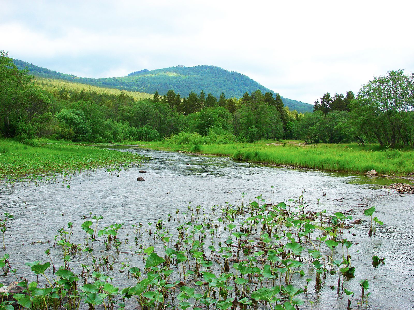 Река бежит весело