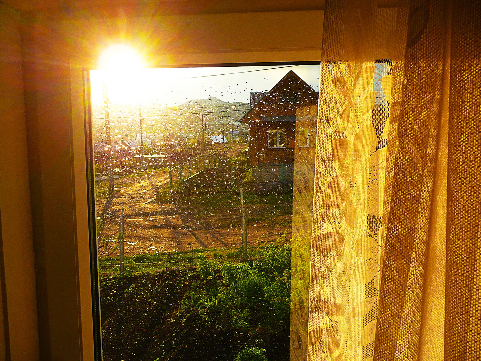 Заглянет солнце и в наше оконце. Нарциссы на окне солнце. Окна на солнечную сторону как защититься от солнца для растений. Солнышко заглянуло в окно.